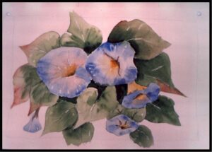 Watercolors morningglories wc