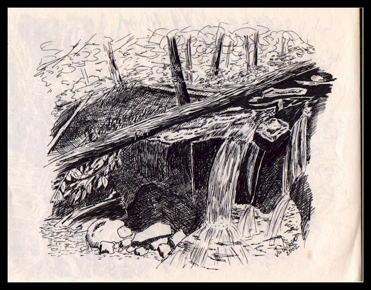 Pen-Ink vic art 100703 044aaa